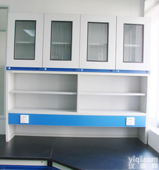 <em>吊柜</em>（器皿柜，气瓶柜，工作台，工作车，实验台，药品柜）