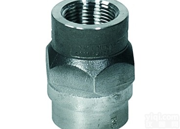 斯派沙克<em>DCV41</em> <em>BSP</em><em>止回阀</em>