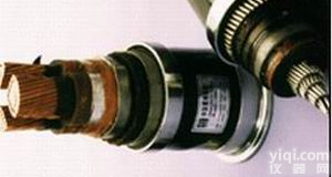 变频电缆 <em>屏蔽电缆</em> BPGGP3 BPFFP2 BPGVFPP2