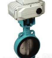 FIG.093E-铸铁<em>电动式</em>蝶阀 <em>台湾</em>RING东光阀门