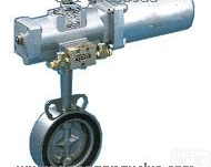 M-611AKT-不锈钢蝶阀-<em>气缸</em>单动式 <em>台湾</em>RING东光阀门