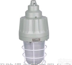 BAD61-系列<em>隔爆型</em><em>防爆灯</em>(<em>一体式</em>)