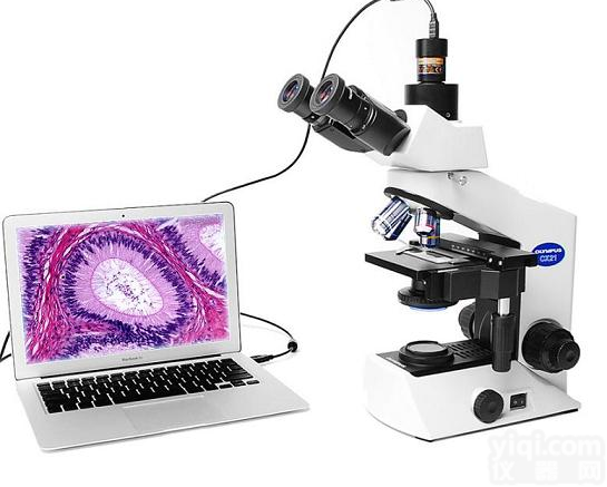 供应<em>奥林巴斯</em>显微镜成像<em>系统</em>