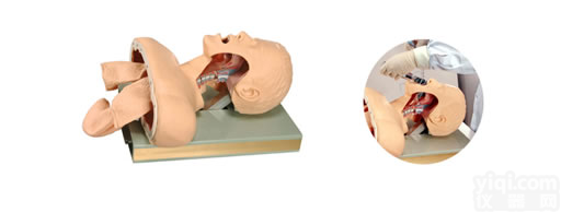 高级<em>气管插管训练模型,气管插管模型</em>