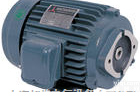 <em>台湾</em><em>JIA</em> CHENG ELECTRIC WORKS CO.LTD油泵马达