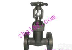 <em>锻钢</em>法兰<em>波纹管</em><em>闸阀</em>WZ41H/Y