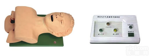 <em>电子</em>人体气管插管<em>模型</em>,<em>电子</em>气管插管<em>模型</em>