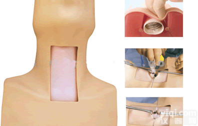 气管<em>切开</em>插管模型,环甲膜<em>切开</em><em>护理模型</em>