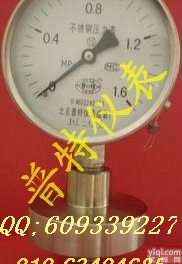 厂家<em>直销</em>不锈钢<em>隔膜</em><em>压力表</em>YTP100F