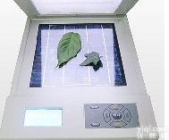 YMJ-B叶面积测定仪，便携式叶面积测定仪，<em>便携式叶面积仪</em>