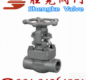 <em>厂家</em><em>直销</em>承插焊<em>闸阀</em>胜克阀门制造厂