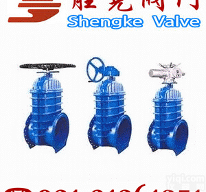 厂家直销<em>大口径弹性座封闸阀</em>胜克阀门制造厂