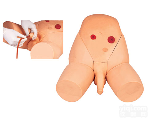 男性<em>导尿</em>示教<em>模型</em>,<em>导尿</em>术练习<em>模型</em>,<em>导尿</em>训练<em>模型</em>