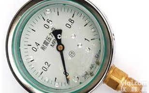 <em>压力仪表</em>系列，<em>耐震</em>压力表