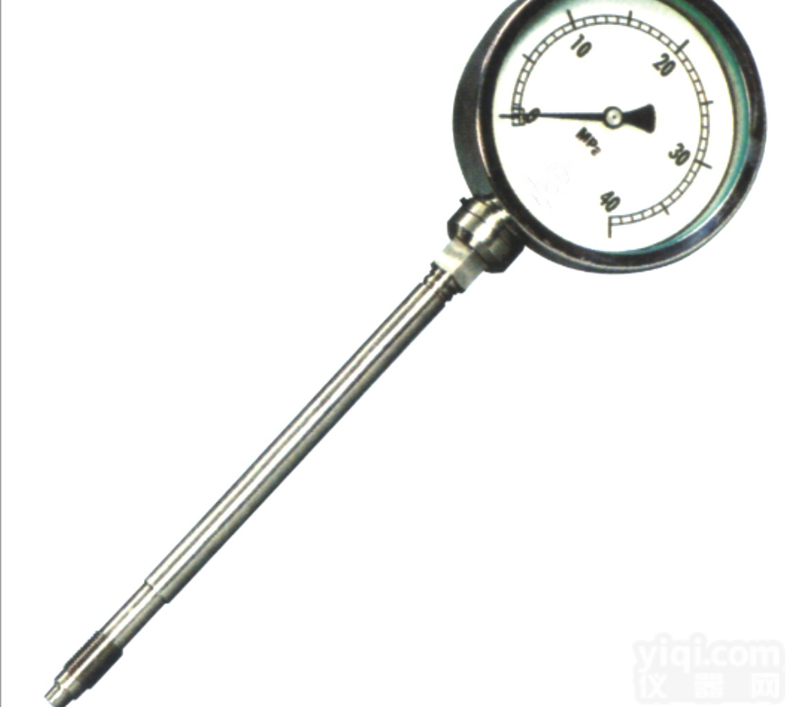 <em>刚性</em>杆标准式<em>熔体</em><em>压力表</em>