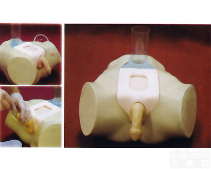 高级男性膀胱<em>穿刺</em><em>模型</em>,膀胱<em>穿刺</em>术训练<em>模型</em>
