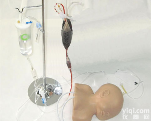 高级<em>硅胶</em>婴儿头部静脉<em>穿刺</em>训练示教模型【上海博友】