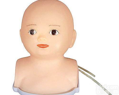 高级<em>婴儿</em><em>头部</em>综合静脉穿刺<em>模型</em>,<em>婴儿</em>头注射<em>模型</em>