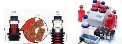 <em>BelloCell</em>® 高<em>密度</em><em>细胞培养</em>系统