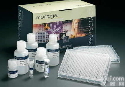 <em>保证质量</em>小鼠D-乳酸<em>脱氢</em>酶(D-LDH)ELISA试剂盒