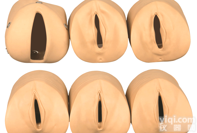 产前<em>宫颈</em>变化训练<em>模型</em>，<em>宫颈</em>变化演示<em>模型</em>