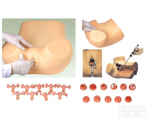 <em>高级妇科检查模型</em>，高级妇科检查技能模型