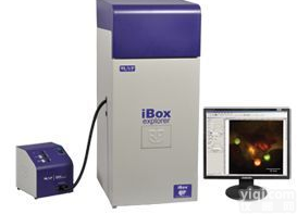iBox Explorer <em>活体</em>小<em>动物</em>荧光显微成像系统 南京欧捷