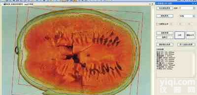 <em>瓜果</em>剖<em>切面</em>、瓤色图像<em>分析仪</em>系统