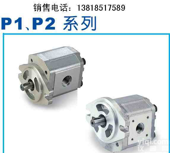 <em>P105RP01GT</em><em>齿轮泵</em>