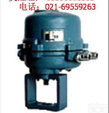 3610R系列角行程全电子<em>执行器</em>381LSA-08,381LSA-20,381LSB-30,381LSB-50,<em>381LSC</em>-65,<em>381LSC</em>-99,<em>381LSC</em>-160,361