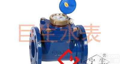 50mm可拆螺翼干式冷水、热水<em>水表</em>，大口径冷水、热水<em>水表</em>，LXLG-<em>50E</em>