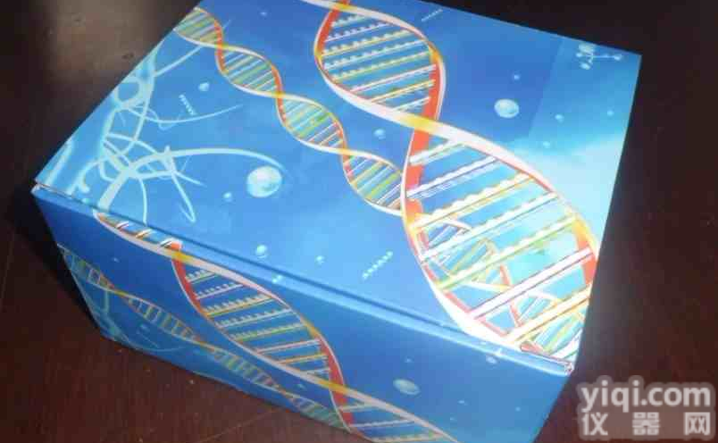 <em>现货供应</em>       人抗染色体<em>抗体</em>(anti-chromosome Ab)Elisa试剂盒