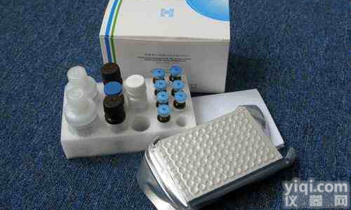 麦胚<em>凝集</em>素/<em>凝集</em>蛋白(WGA)Elisa<em>试剂盒</em>价格|<em>说明书</em>