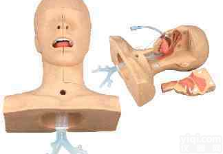 高级吸痰训练<em>模型</em>，吸痰<em>练习</em><em>模型</em>，吸痰<em>模型</em>