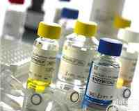 <em>现货供应</em> 哌拉西林/氧<em>哌嗪</em>青霉素