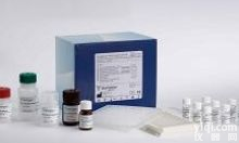 Y11182A  Elisa<em>试剂盒</em>  (ASGPR)人去<em>唾液酸</em>糖蛋白受体