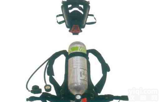 <em>现货供应</em>BD2100标准型<em>呼吸器</em>