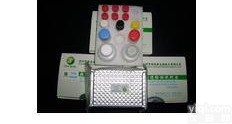 Y11491A  Elisa<em>试剂盒</em>  (γ-ECS)人γ<em>谷氨酰</em>半胱氨酸<em>合成酶</em>