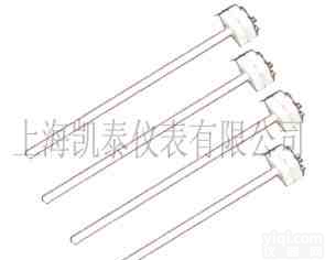WRP-100型<em>小铂铑热电偶</em> S-100型<em>小铂铑热电偶</em>
