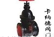 <em>Z45T-10型暗杆楔式闸阀</em>