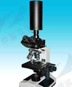 <em>一滴血检测仪</em>细胞检测仪一滴血分析仪一滴血厂家黑背
