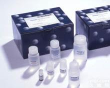 Y12270A    <em>Elisa</em><em>试剂盒</em>      (IAA)植物<em>吲哚</em>乙酸