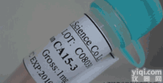 Anti-Phospho-PIM1(Tyr218)  <em>磷酸化</em>前病毒整合<em>位点</em>蛋白1<em>抗体</em>