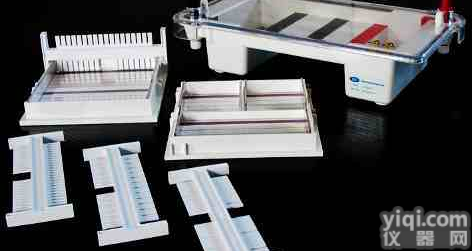 水平<em>电泳</em>槽/<em>核酸</em><em>电泳</em>槽/琼脂糖<em>电泳</em>槽/DNA<em>电泳</em>槽