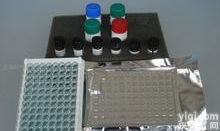 Y12444A    Elisa<em>试剂盒</em>      (LTB4)兔子<em>白三烯</em>B4