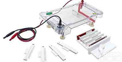 <em>水平电泳</em>槽/核酸<em>电泳槽</em>/琼脂糖<em>电泳槽</em>/DNA<em>电泳槽</em>/PCR<em>电泳槽</em>
