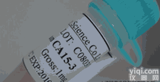 Anti-Phospho-<em>Tuberin</em>/TSC2 (<em>Thr1462</em>)  磷酸化马铃薯球蛋白(结节性硬化)<em>抗体</em>