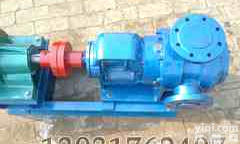 NYP型高粘度内齿泵,<em>高粘度泵</em>,NYP<em>高粘度泵</em>