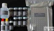 <em>人心</em>肌肌凝蛋白<em>轻链</em>1Elisa<em>试剂盒</em>价格,(CMLC-1)Elisa<em>试剂盒</em>Kit说明书
