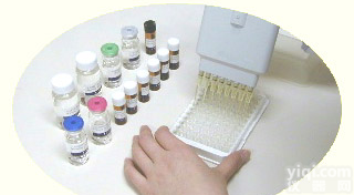 物种<em>鉴定</em>Elisa检测<em>试剂盒</em>【熟的，<em>牛肉</em>】